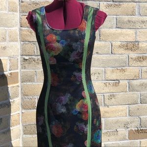 Debbie Shuchat Sheath Dress Lined Floral Mesh 2